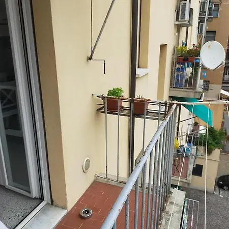 Guest house Via Borgo Di San Pietro Bologna